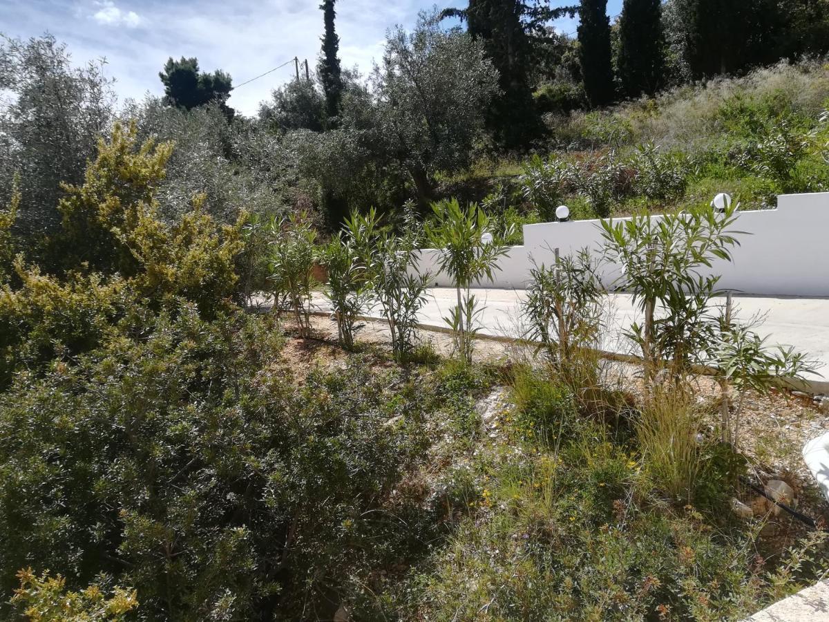 Vila Stone House In Olive Grove Tolón Exteriér fotografie