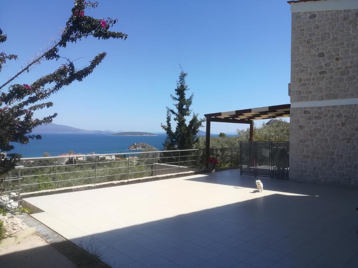 Vila Stone House In Olive Grove Tolón Exteriér fotografie