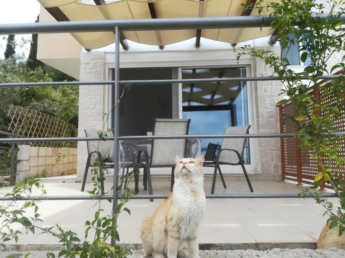 Vila Stone House In Olive Grove Tolón Exteriér fotografie
