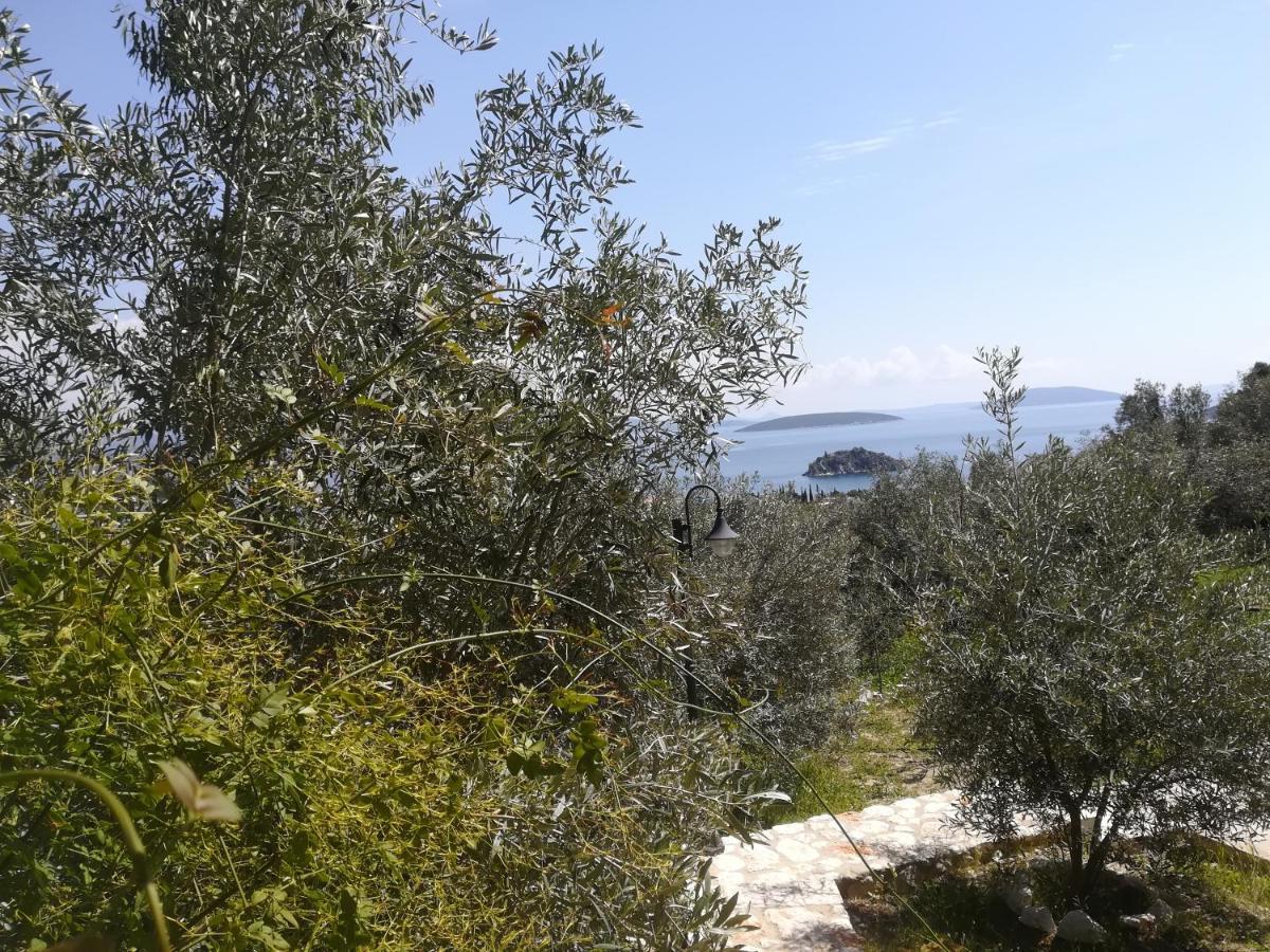 Vila Stone House In Olive Grove Tolón Exteriér fotografie