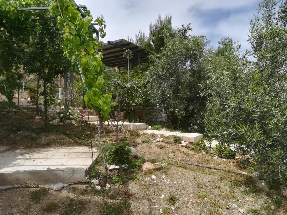 Vila Stone House In Olive Grove Tolón Exteriér fotografie