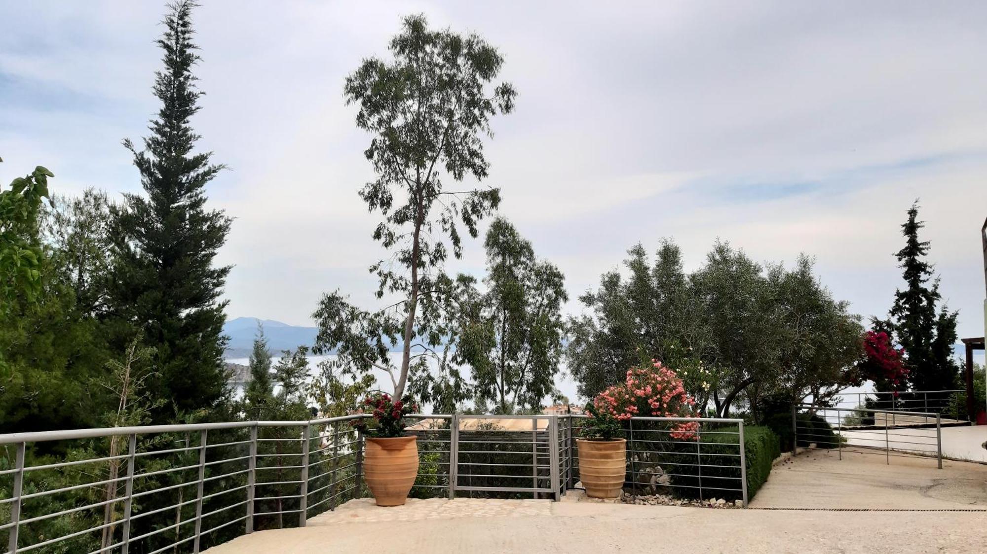 Vila Stone House In Olive Grove Tolón Exteriér fotografie