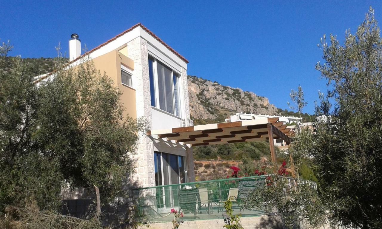 Vila Stone House In Olive Grove Tolón Exteriér fotografie