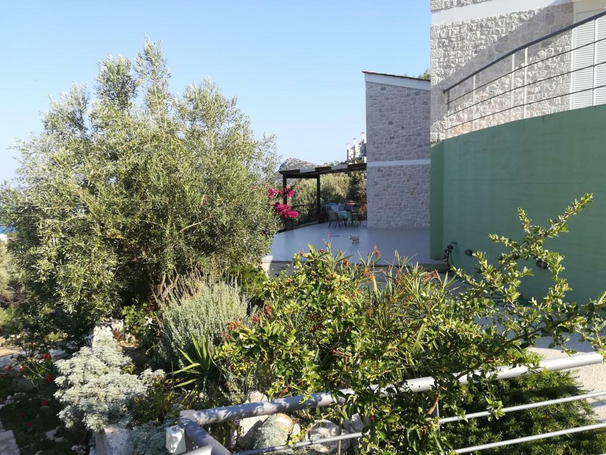 Vila Stone House In Olive Grove Tolón Exteriér fotografie