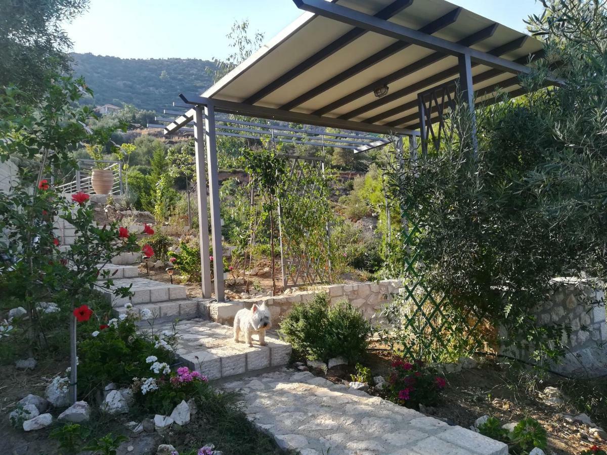 Vila Stone House In Olive Grove Tolón Exteriér fotografie