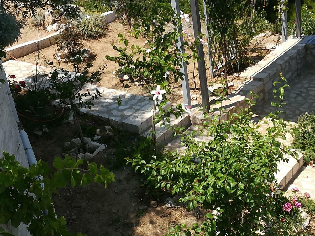Vila Stone House In Olive Grove Tolón Exteriér fotografie