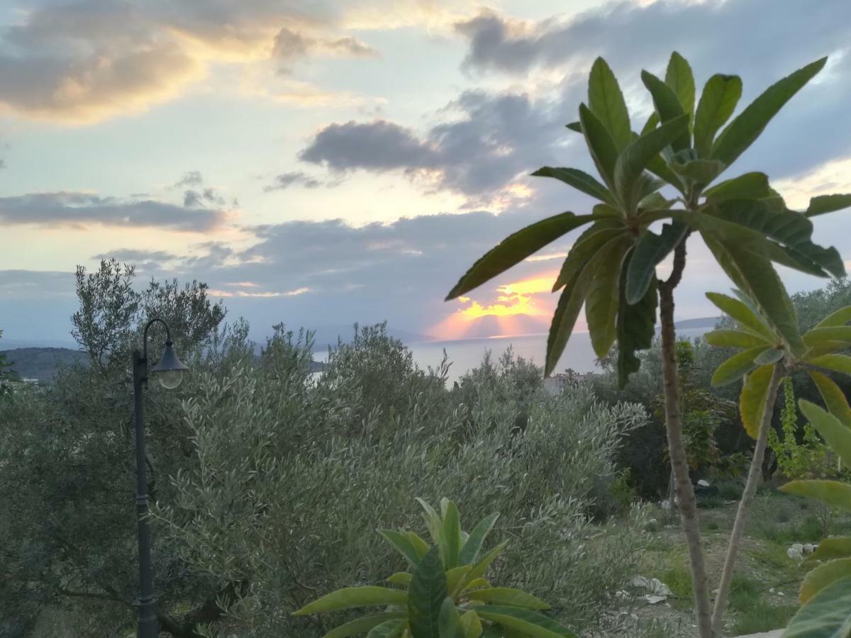Vila Stone House In Olive Grove Tolón Exteriér fotografie