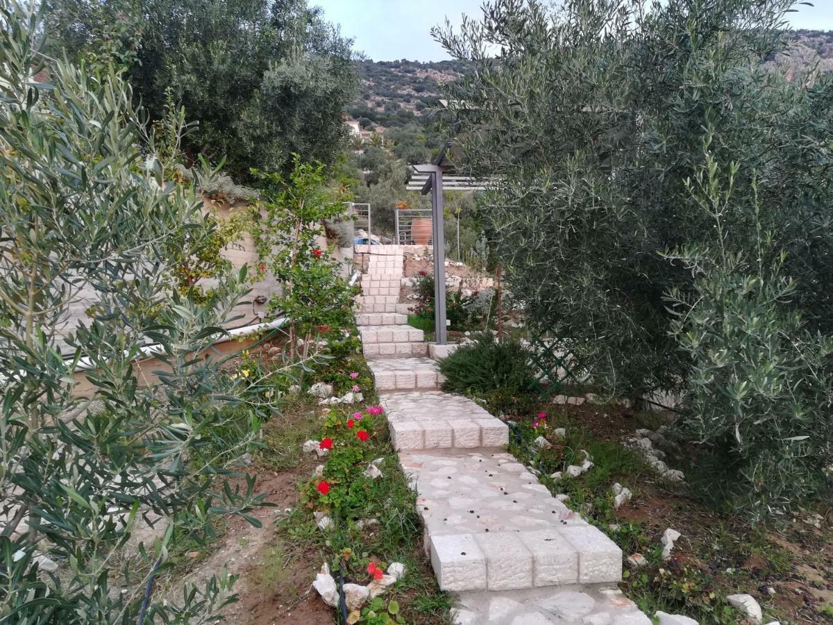 Vila Stone House In Olive Grove Tolón Exteriér fotografie